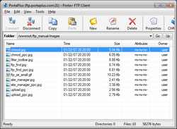 Ftp Manager for Windows