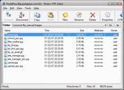 FTP Client Screen Shot